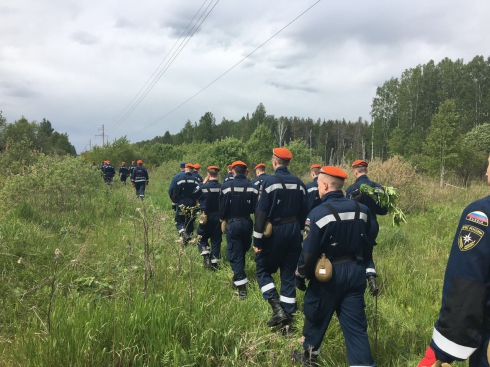 На Урале продолжается спецоперация по поиску 4-летнего Димы. Спасатели обследуют болото