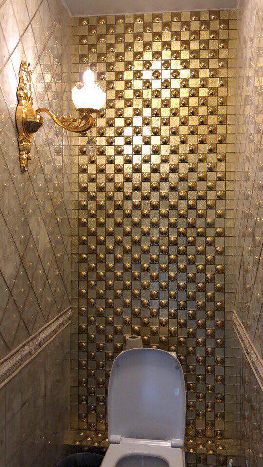В УрГЭУ обнаружили «золотой» туалет