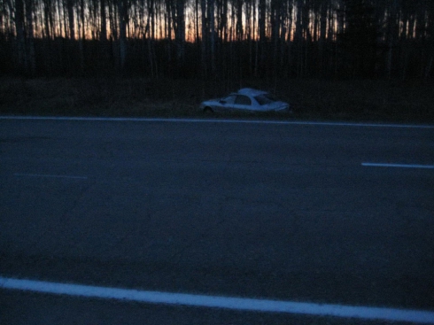 Водитель Hyundai Sonata получил травмы в столкновении с лосем (фото)