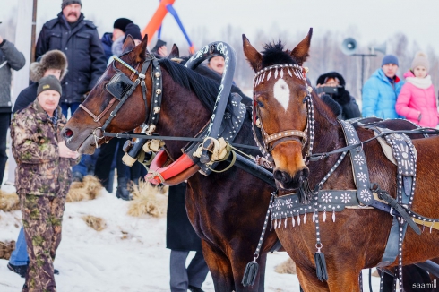 Кушва стала местом проведения ежегодных конно-спортивных соревнований