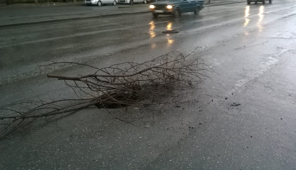 Дорога шевченко. Люк на дороге. Фото газели которая влетела в люк открытый.