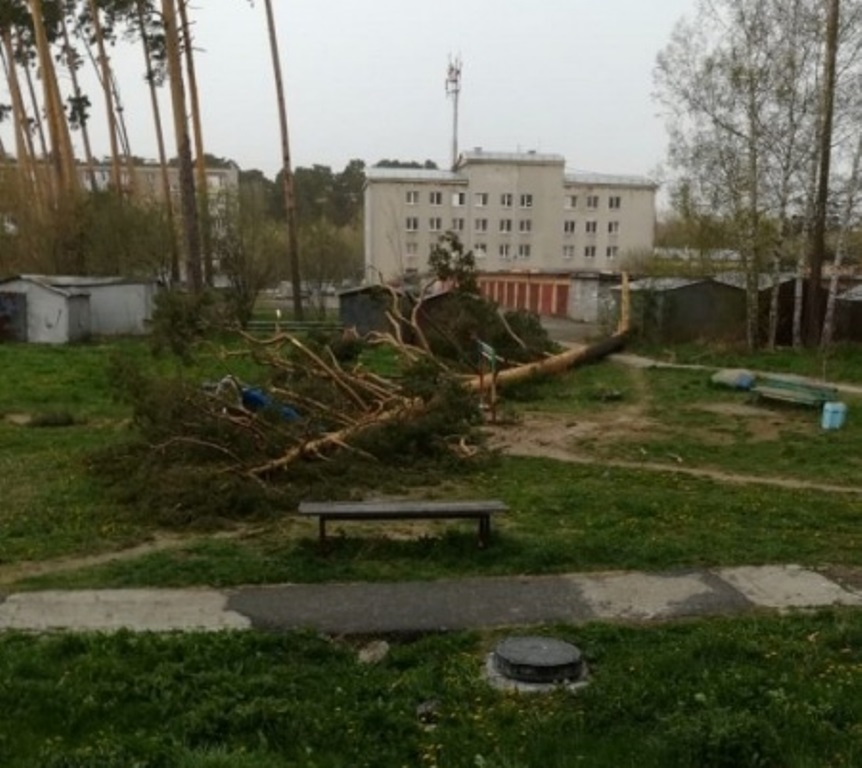 Прошла первая майская гроза и оставила за собой упавшие деревья и столбы, сорванные крыши и разбитые автомобили