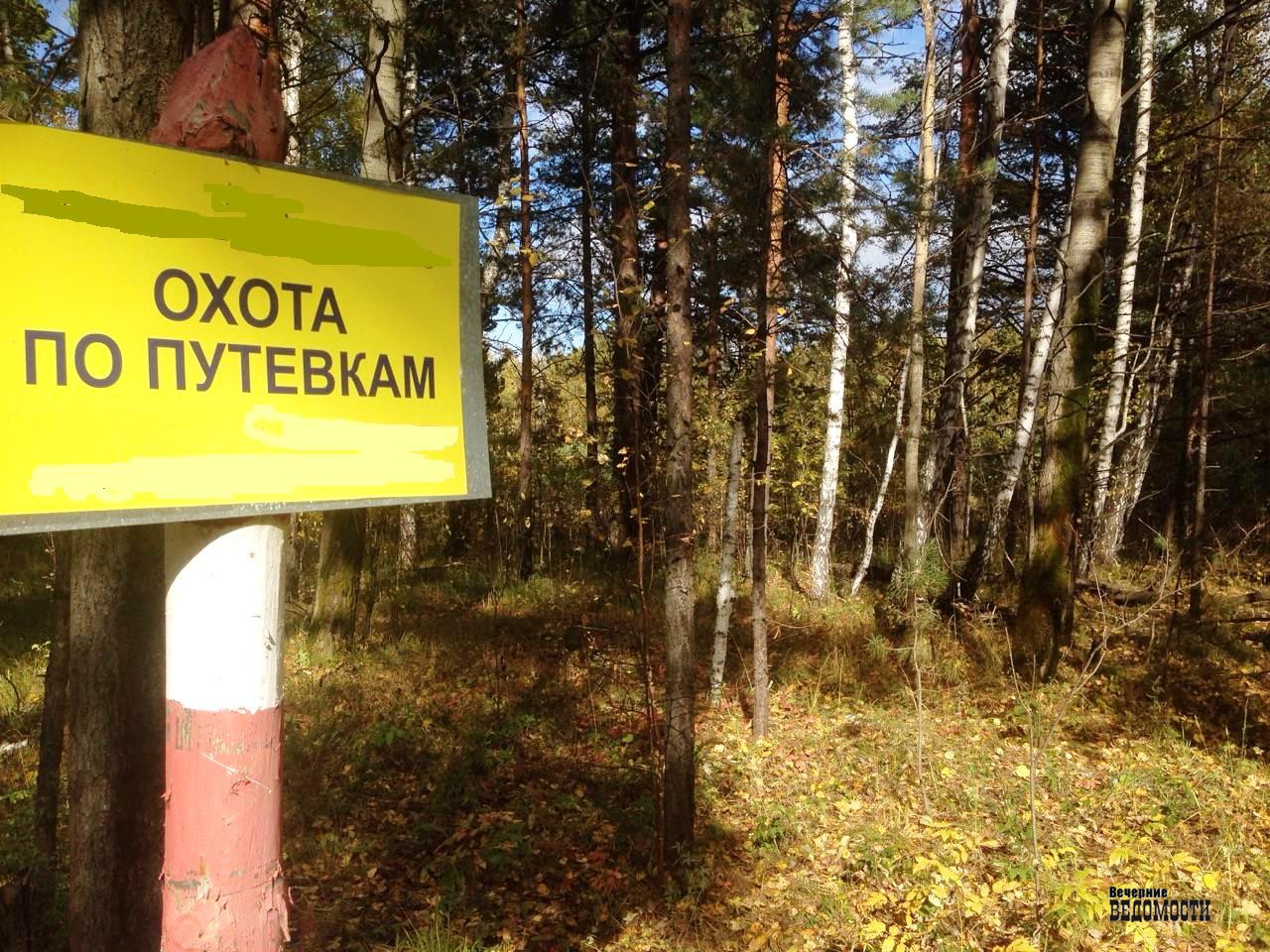 Охота без путевки штраф. Разрешение на охоту. Путёвка и разрешение на охоту. Охота без путевки штраф. Незаконная охота картинки для презентации.