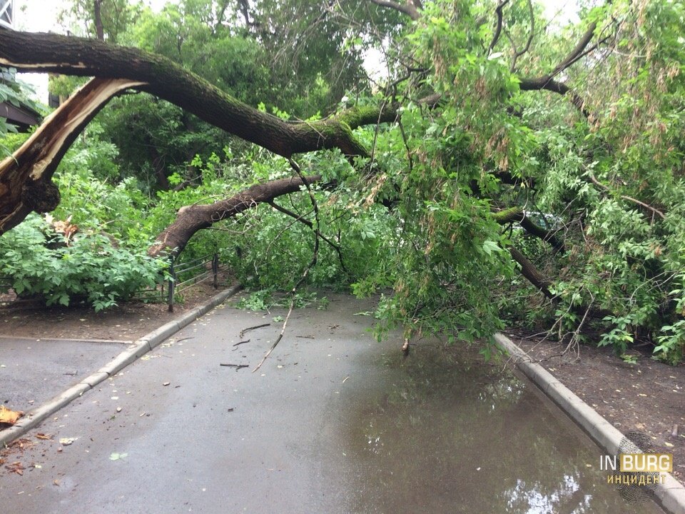 Вечерний ливень затопил в Екатеринбурге улицы и магазины Вечерний ливень затопил в Екатеринбурге улицы и магазины