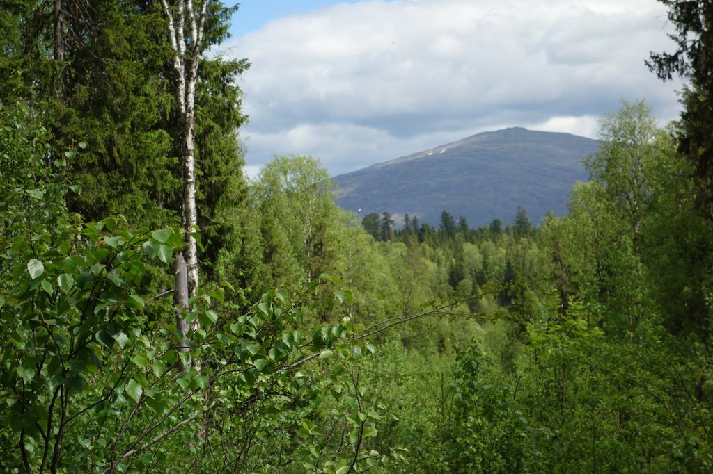 Фестиваль собирает любителей авторской песни у подножия Конжаковского Камня Фестиваль собирает любителей авторской песни у подножия Конжаковского Камня