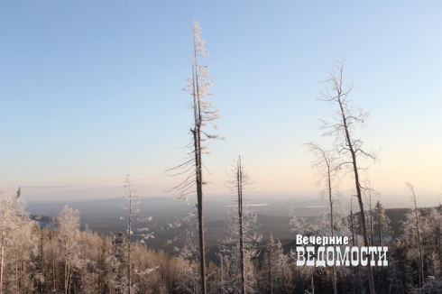 Заповедник в безопасности