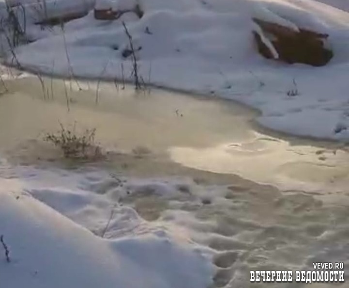 Уральское село уже год топит грунтовыми водами, но в сельсовете их лишь кормят обещаниями 