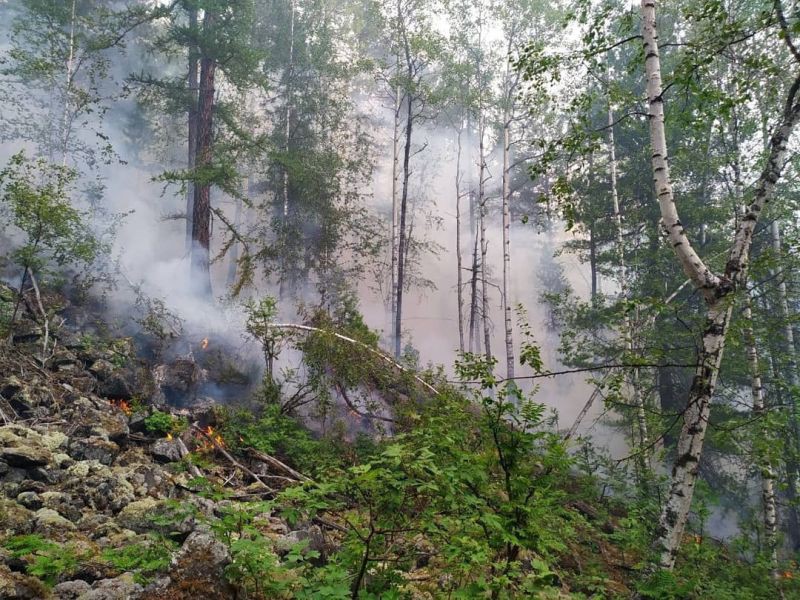В свердловском заповеднике «Денежкин Камень» произошел крупный пожар