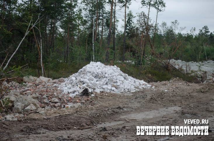 Екатеринбургские экоактивисты обнаружили рядом с Шарташом несанкционированную добычу торфа