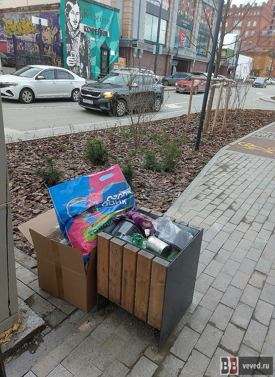 У екатеринбуржцев забрали единственный контейнер и вынудили складывать мусор на улице