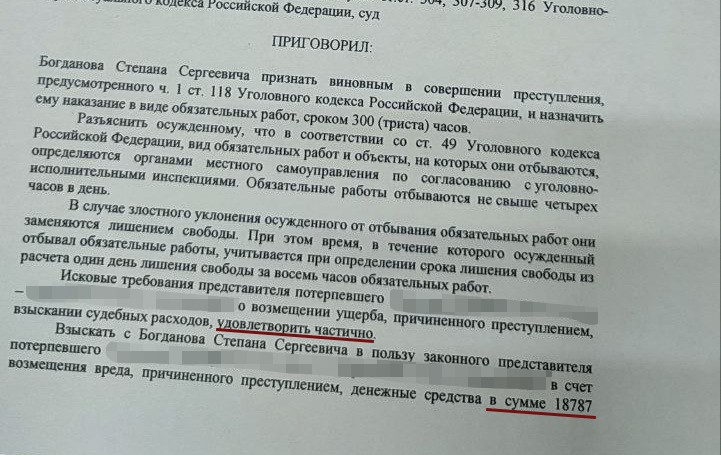 Это не последний суд: чем закончилось уголовное дело о хаски, покусавшей двоих детей в Арамили